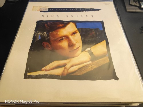 Rick astley never gonna give - rick,