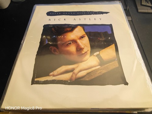 Rick astley never - never, give